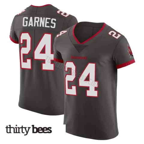 Ayden Garnes ＃24 Tampa Bay Buccaneers Men's Elite Pewter Alternate Vapor Jersey