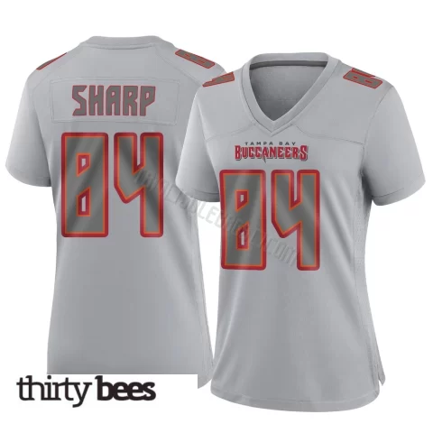 Bauer Sharp ＃84 Tampa Bay Buccaneers Women's Game Gray Atmosphere Fashion Jersey