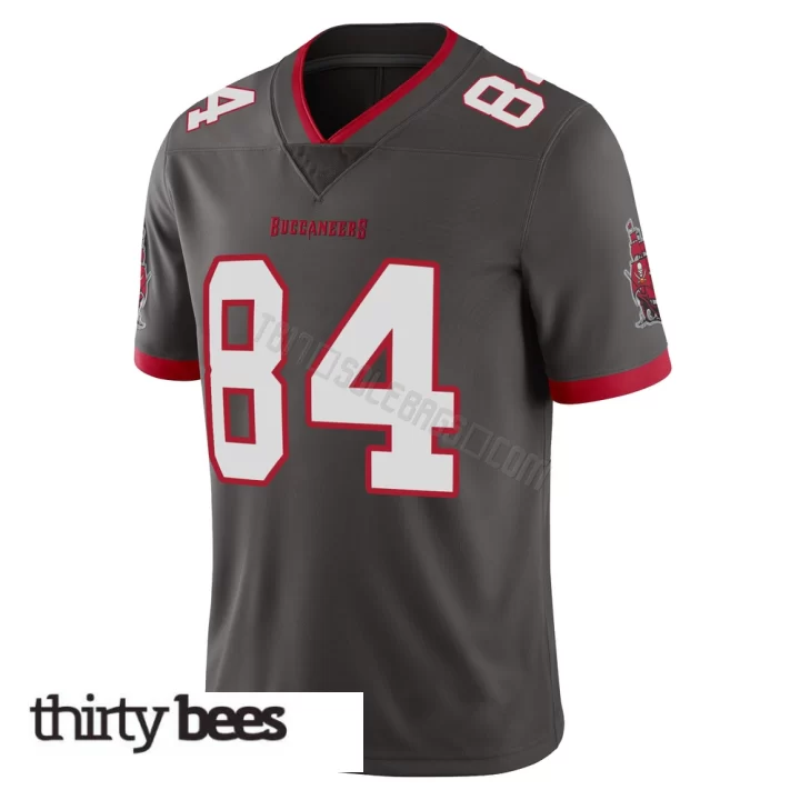 Bauer Sharp ＃84 Tampa Bay Buccaneers Youth Limited Pewter Alternate Vapor Jersey