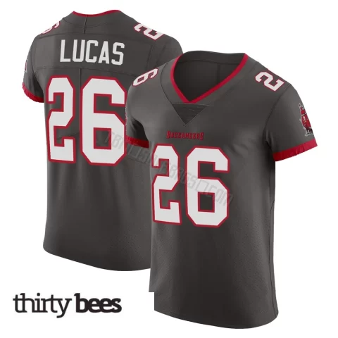 Chase Lucas ＃26 Tampa Bay Buccaneers Men's Elite Pewter Alternate Vapor Jersey