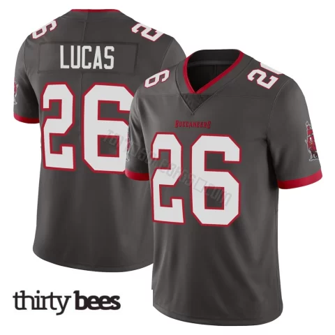 Chase Lucas ＃26 Tampa Bay Buccaneers Youth Limited Pewter Alternate Vapor Jersey