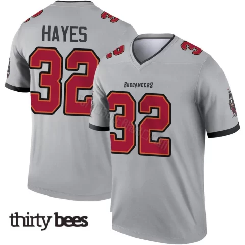 Josh Hayes ＃32 Tampa Bay Buccaneers Men's Legend Gray Inverted Jersey