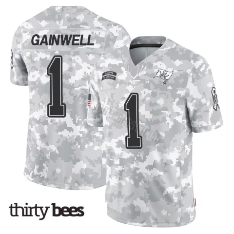 Kenny Gainwell ＃1 Tampa Bay Buccaneers Youth Limited Arctic Camo 2024 Salute to Service Jersey
