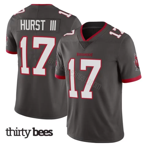 Ted Hurst III ＃17 Tampa Bay Buccaneers Men's Limited Pewter Alternate Vapor Jersey