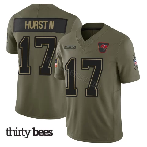 Ted Hurst III ＃17 Tampa Bay Buccaneers Youth Limited Olive 2025 Salute to Service Jersey