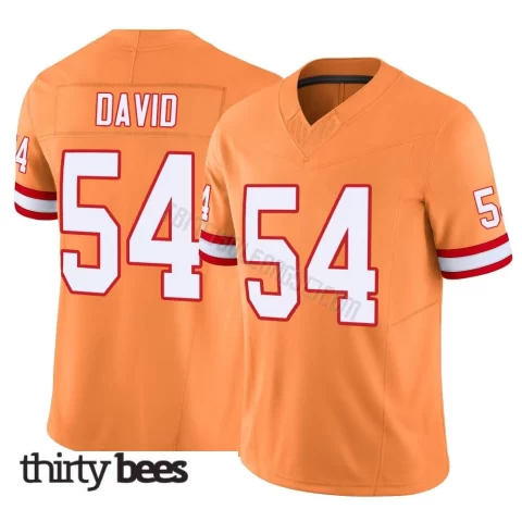 Lavonte David ＃54 Tampa Bay Buccaneers Men's Limited Orange Vapor F.U.S.E. Jersey