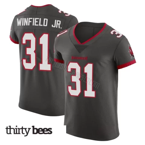 Antoine Winfield Jr. ＃31 Tampa Bay Buccaneers Men's Elite Pewter Alternate Vapor Jersey