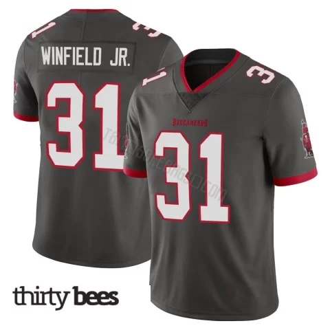 Antoine Winfield Jr. ＃31 Tampa Bay Buccaneers Men's Limited Pewter Alternate Vapor Jersey