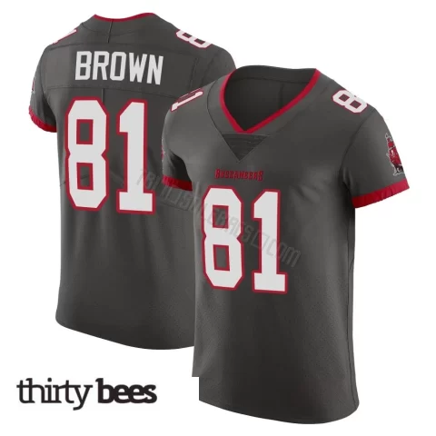 Antonio Brown ＃81 Tampa Bay Buccaneers Men's Elite Pewter Alternate Vapor Jersey