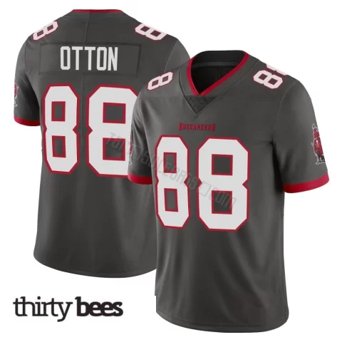 Cade Otton ＃88 Tampa Bay Buccaneers Youth Limited Pewter Alternate Vapor Jersey
