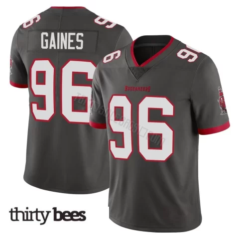 Greg Gaines ＃96 Tampa Bay Buccaneers Youth Limited Pewter Alternate Vapor Jersey