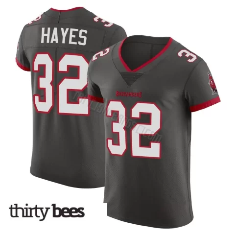 Josh Hayes ＃32 Tampa Bay Buccaneers Men's Elite Pewter Alternate Vapor Jersey