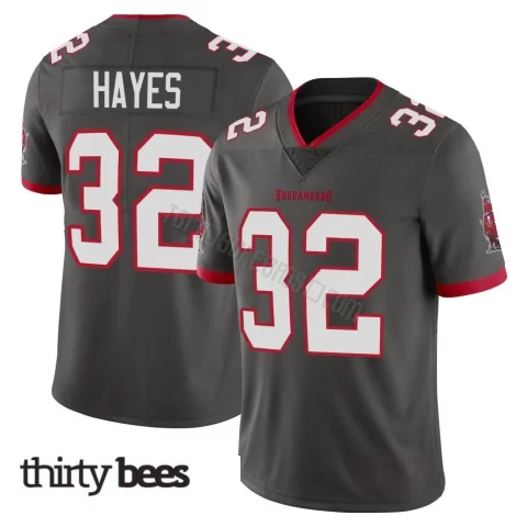 Josh Hayes ＃32 Tampa Bay Buccaneers Youth Limited Pewter Alternate Vapor Jersey