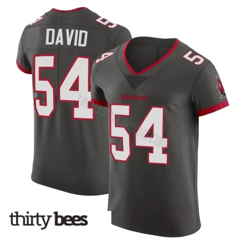 Lavonte David ＃54 Tampa Bay Buccaneers Men's Elite Pewter Alternate Vapor Jersey