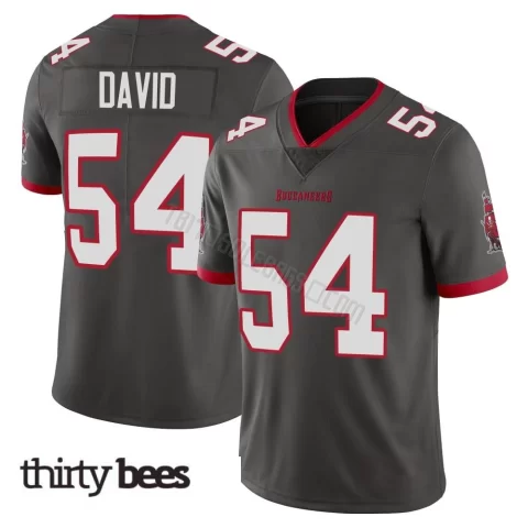 Lavonte David ＃54 Tampa Bay Buccaneers Men's Limited Pewter Alternate Vapor Jersey