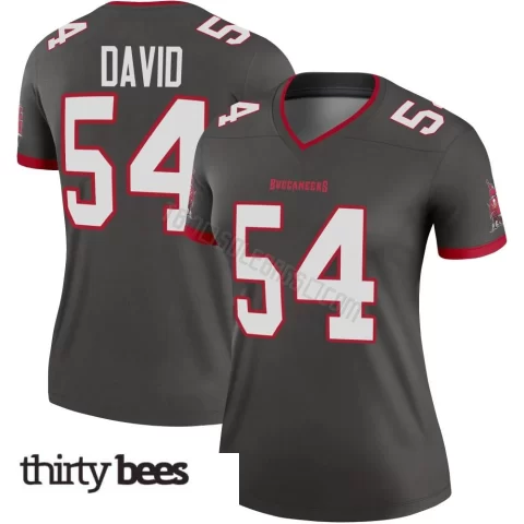 Lavonte David ＃54 Tampa Bay Buccaneers Women's Legend Pewter Alternate Jersey