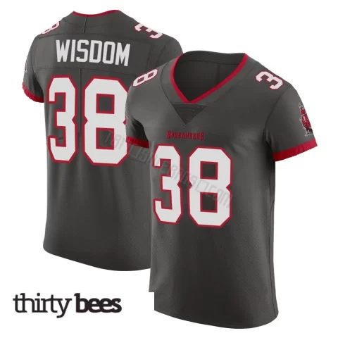 Rashad Wisdom ＃38 Tampa Bay Buccaneers Men's Elite Pewter Alternate Vapor Jersey