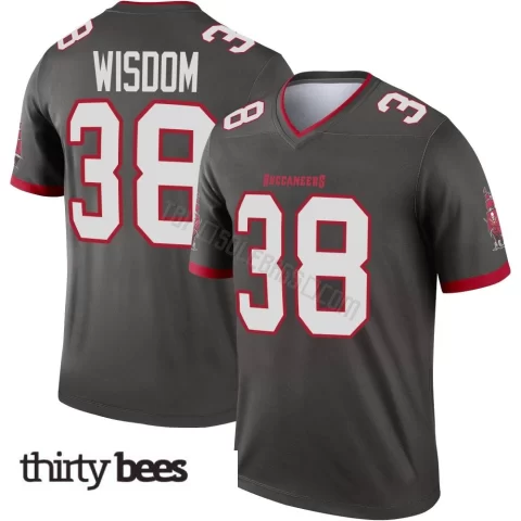Rashad Wisdom ＃38 Tampa Bay Buccaneers Men's Legend Pewter Alternate Jersey