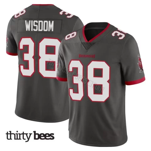 Rashad Wisdom ＃38 Tampa Bay Buccaneers Youth Limited Pewter Alternate Vapor Jersey