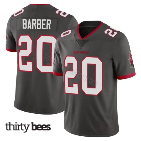 Ronde Barber ＃20 Tampa Bay Buccaneers Youth Limited Pewter Alternate Vapor Jersey