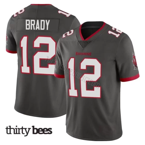 Tom Brady ＃12 Tampa Bay Buccaneers Men's Limited Pewter Alternate Vapor Jersey