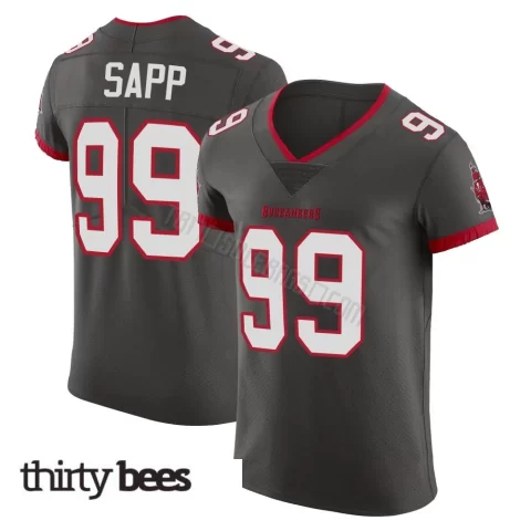 Warren Sapp ＃99 Tampa Bay Buccaneers Men's Elite Pewter Alternate Vapor Jersey
