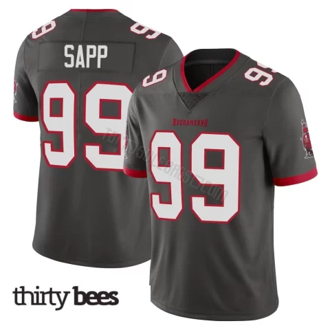 Warren Sapp ＃99 Tampa Bay Buccaneers Men's Limited Pewter Alternate Vapor Jersey