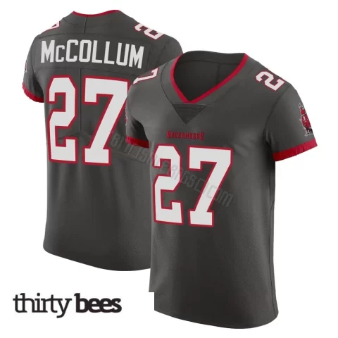 Zyon McCollum ＃27 Tampa Bay Buccaneers Men's Elite Pewter Alternate Vapor Jersey