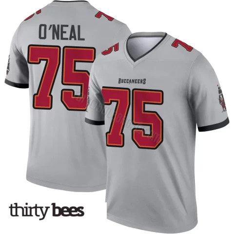 Raiqwon O'Neal ＃75 Tampa Bay Buccaneers Men's Legend Gray Inverted Jersey