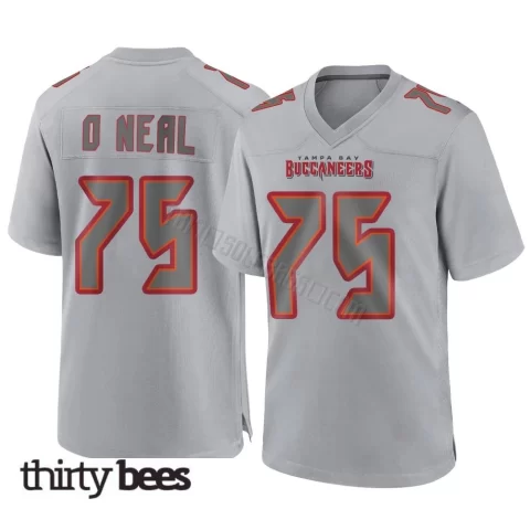Raiqwon O'Neal ＃75 Tampa Bay Buccaneers Men's Game Gray Atmosphere Fashion Jersey