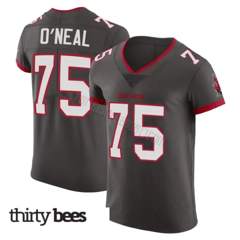 Raiqwon O'Neal ＃75 Tampa Bay Buccaneers Men's Elite Pewter Alternate Vapor Jersey