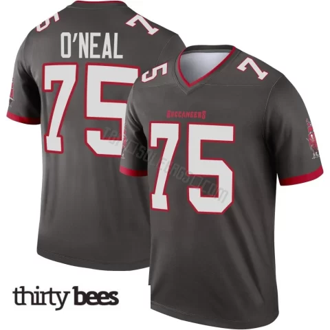 Raiqwon O'Neal ＃75 Tampa Bay Buccaneers Men's Legend Pewter Alternate Jersey