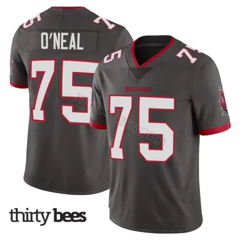 Raiqwon O'Neal ＃75 Tampa Bay Buccaneers Youth Limited Pewter Alternate Vapor Jersey