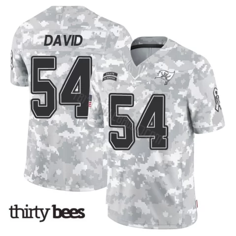Lavonte David ＃54 Tampa Bay Buccaneers Youth Limited Arctic Camo 2024 Salute to Service Jersey
