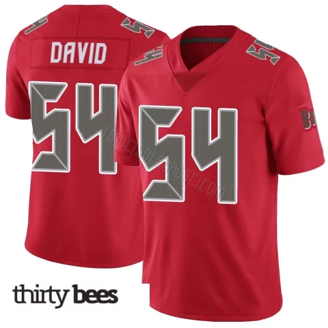 Lavonte David ＃54 Tampa Bay Buccaneers Youth Limited Red Color Rush Jersey