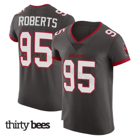 Elijah Roberts ＃95 Tampa Bay Buccaneers Men's Elite Pewter Alternate Vapor Jersey
