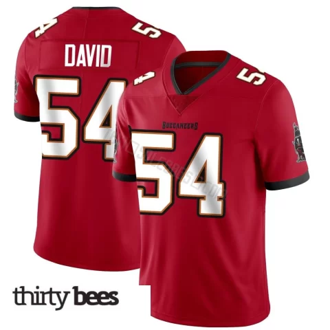 Lavonte David ＃54 Tampa Bay Buccaneers Men's Limited Red Team Color Vapor Untouchable Jersey