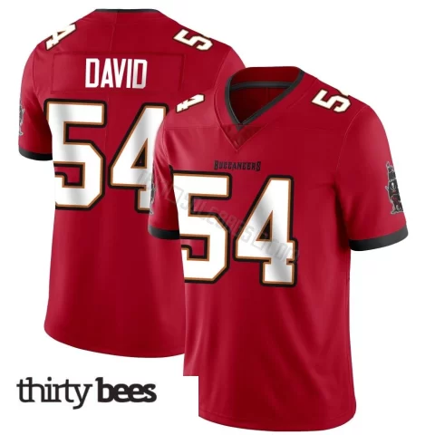 Lavonte David ＃54 Tampa Bay Buccaneers Youth Limited Red Team Color Vapor Untouchable Jersey