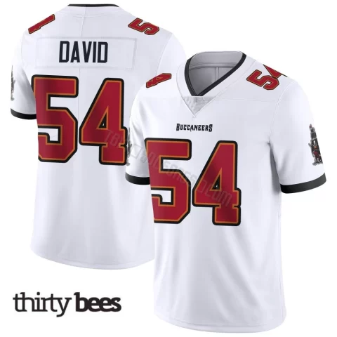 Lavonte David ＃54 Tampa Bay Buccaneers Youth Limited White Vapor Untouchable Jersey