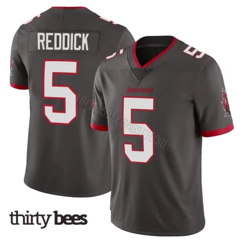 Haason Reddick ＃5 Tampa Bay Buccaneers Men's Limited Pewter Alternate Vapor Jersey