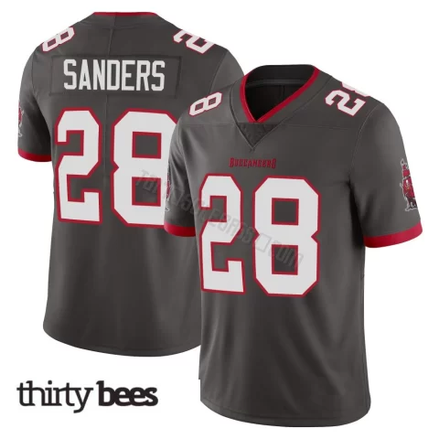 Shilo Sanders ＃28 Tampa Bay Buccaneers Youth Limited Pewter Alternate Vapor Jersey