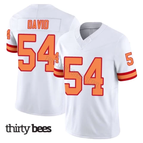 Lavonte David ＃54 Tampa Bay Buccaneers Men's Limited White '76 Vapor F.U.S.E. Jersey