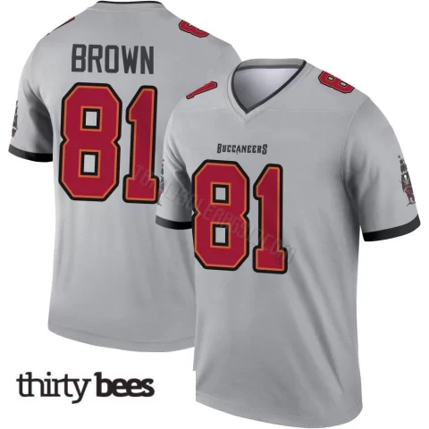 Antonio Brown ＃81 Tampa Bay Buccaneers Youth Legend Gray Inverted Jersey