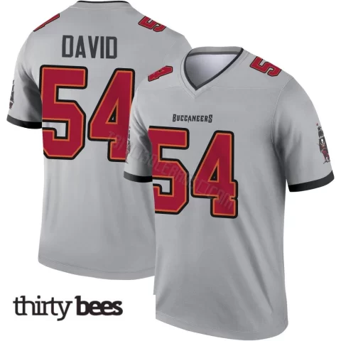 Lavonte David ＃54 Tampa Bay Buccaneers Youth Legend Gray Inverted Jersey