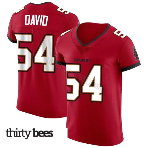 Lavonte David ＃54 Tampa Bay Buccaneers Men's Elite Red Vapor Jersey