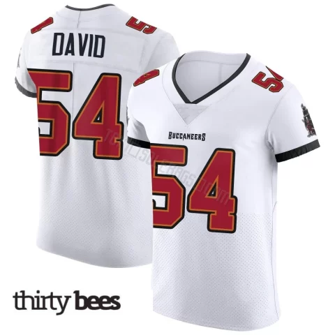 Lavonte David ＃54 Tampa Bay Buccaneers Men's Elite White Vapor Jersey