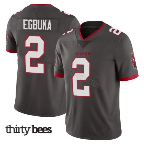 Emeka Egbuka ＃2 Tampa Bay Buccaneers Men's Limited Pewter Alternate Vapor Jersey