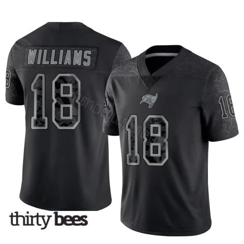 Josh Williams ＃18 Tampa Bay Buccaneers Youth Limited Black Reflective Jersey