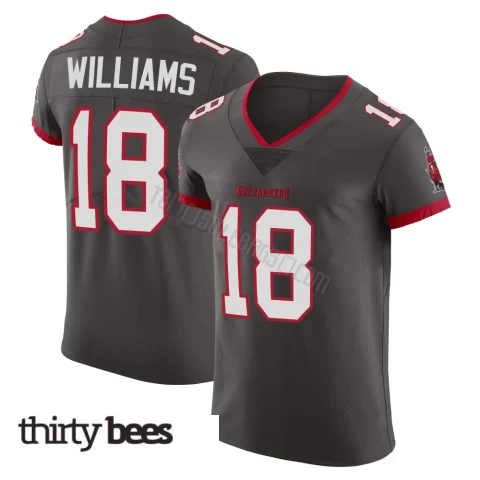 Josh Williams ＃18 Tampa Bay Buccaneers Men's Elite Pewter Alternate Vapor Jersey