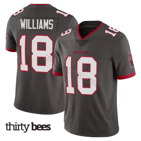 Josh Williams ＃18 Tampa Bay Buccaneers Men's Limited Pewter Alternate Vapor Jersey